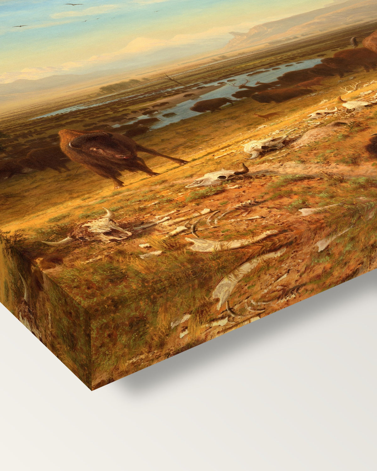 The Last of the Buffalo by Albert Bierstadt on stretched canvas, corner close-up: the painting mirror-wrapped round the sides