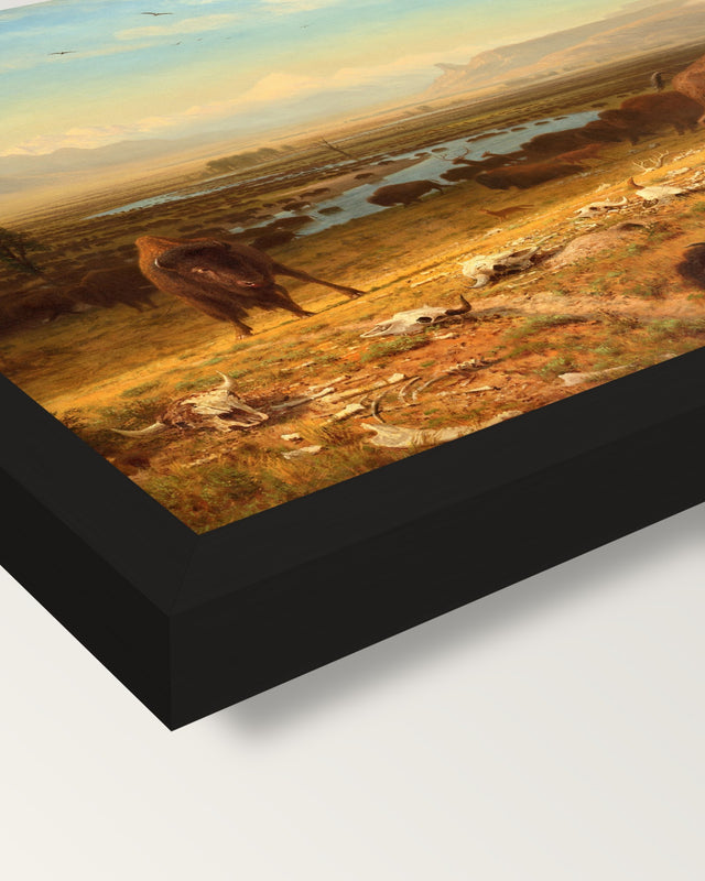 The Last of the Buffalo by Bierstadt framed print, corner close-up: black moulding, mitred, the print set just below its edge