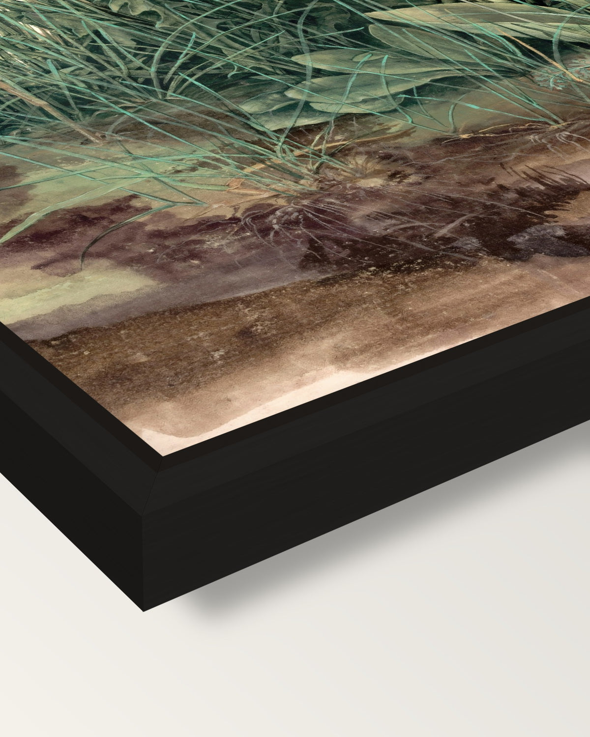 Great Piece of Turf by Dürer framed canvas, corner close-up: a black floating frame with a shadow gap round the canvas