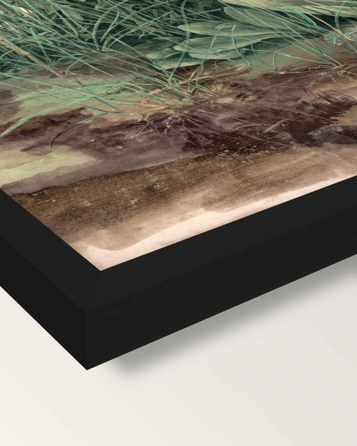Great Piece of Turf by Dürer framed print, corner close-up: black moulding, mitred, the print set just below its edge