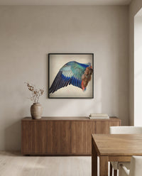 Wing of a European Roller by Albrecht Dürer in a black frame above a walnut sideboard in a dining room