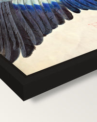 Wing of a European Roller by Dürer framed canvas, corner close-up: a black floating frame with a shadow gap round the canvas