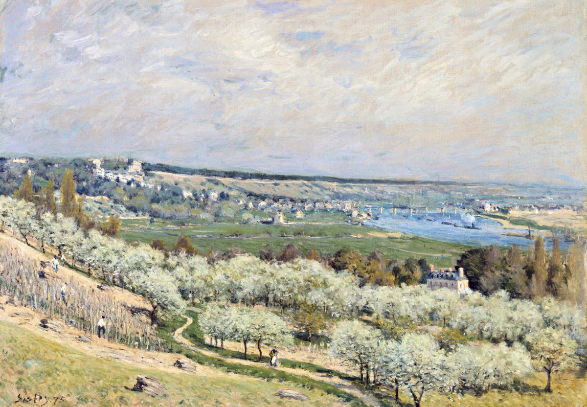 The Terrace at Saint-Germain by Sisley: a hillside of white blossoming orchards above the winding Seine and distant villages