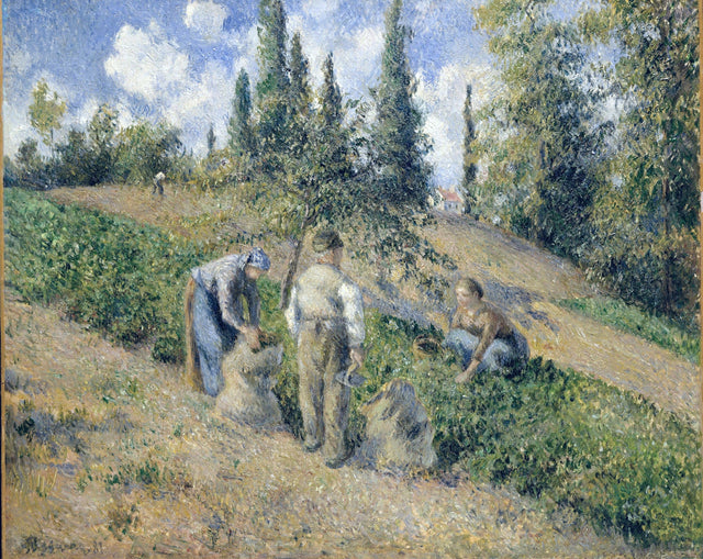 The Harvest, Pontoise by Pissarro: peasants bending to gather potatoes on a sunny green slope, tall trees and white clouds