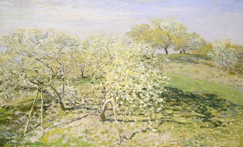 Spring (Fruit Trees in Bloom) by Claude Monet: orchard trees in white blossom on a green hillside under a pale sky