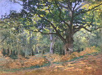 The Bodmer Oak by Claude Monet: a great oak with spreading branches in a sunlit forest, russet leaves on the ground