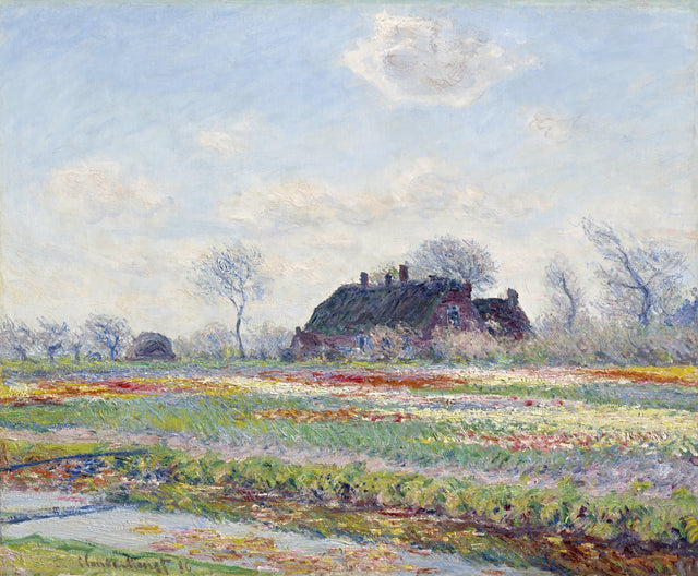Tulip Fields at Sassenheim by Claude Monet: rows of red, yellow and violet tulips before a thatched farmhouse