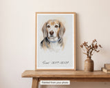 Watercolor pet memorial portrait of a senior beagle in a light oak frame, name and years lettered beneath