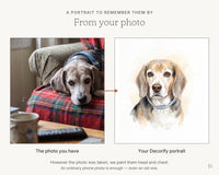 Watercolor pet memorial portrait explained: painted from one photo, name and years included