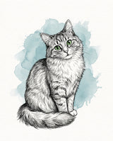 Custom Cat Drawing: a fluffy grey-and-white cat in detailed black ink over a pale blue watercolor splash