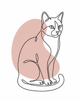 Line Art Cat Portrait with Color: a tuxedo cat sitting, one fine black line over a soft blush colour shape