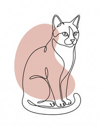Line Art Cat Portrait with Color: a tuxedo cat sitting, one fine black line over a soft blush colour shape