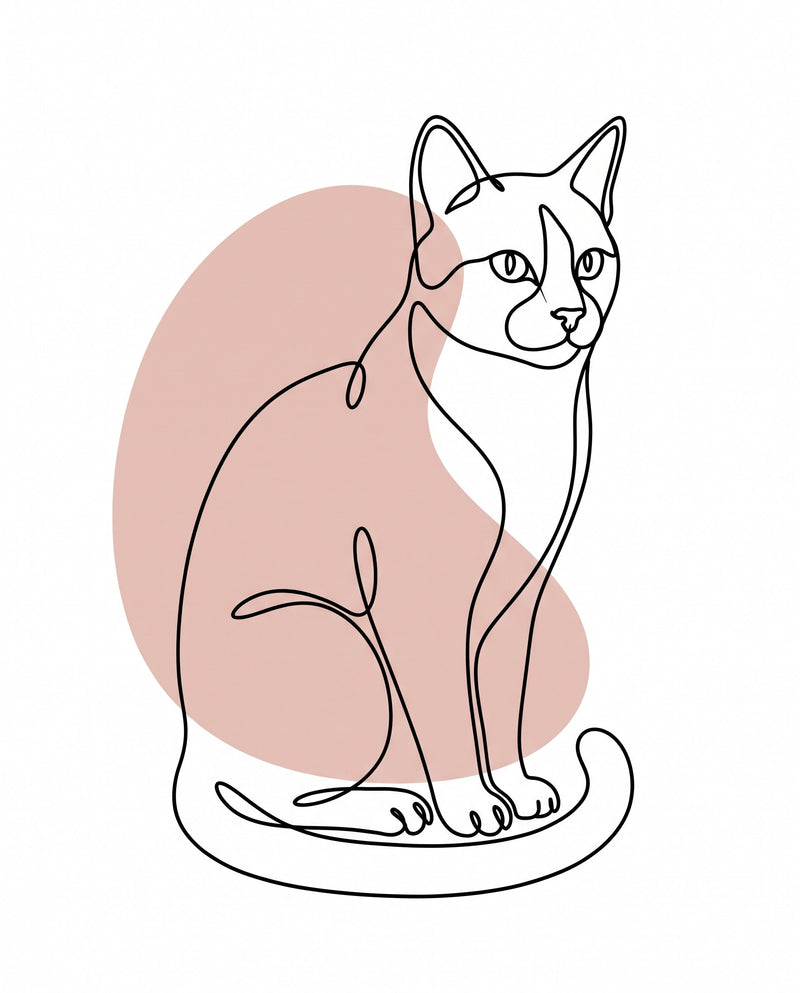 Line Art Cat Portrait with Color: a tuxedo cat sitting, one fine black line over a soft blush colour shape