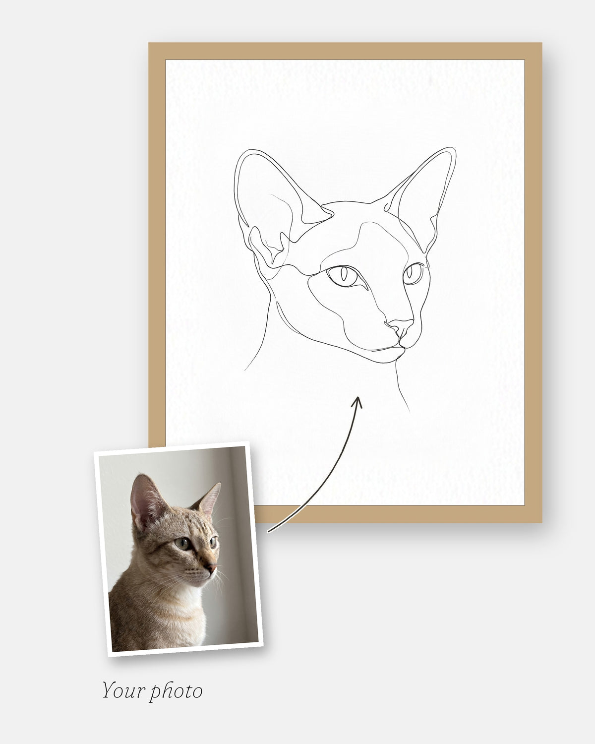 The customer's photo laid on the corner of the finished custom line art cat portrait, framed in natural wood