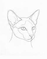 Line Art Cat Portrait: a siamese cat with large ears drawn in one fine black line on white