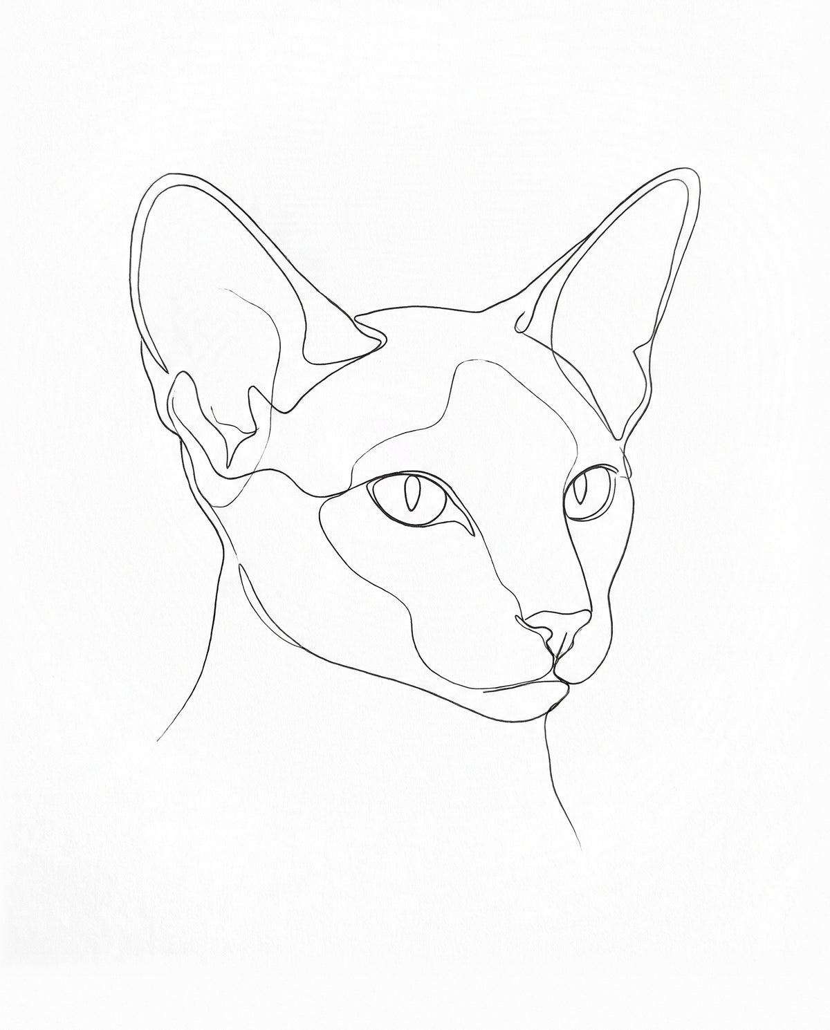 Line Art Cat Portrait: a siamese cat with large ears drawn in one fine black line on white