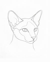 Line Art Cat Portrait: a siamese cat with large ears drawn in one fine black line on white