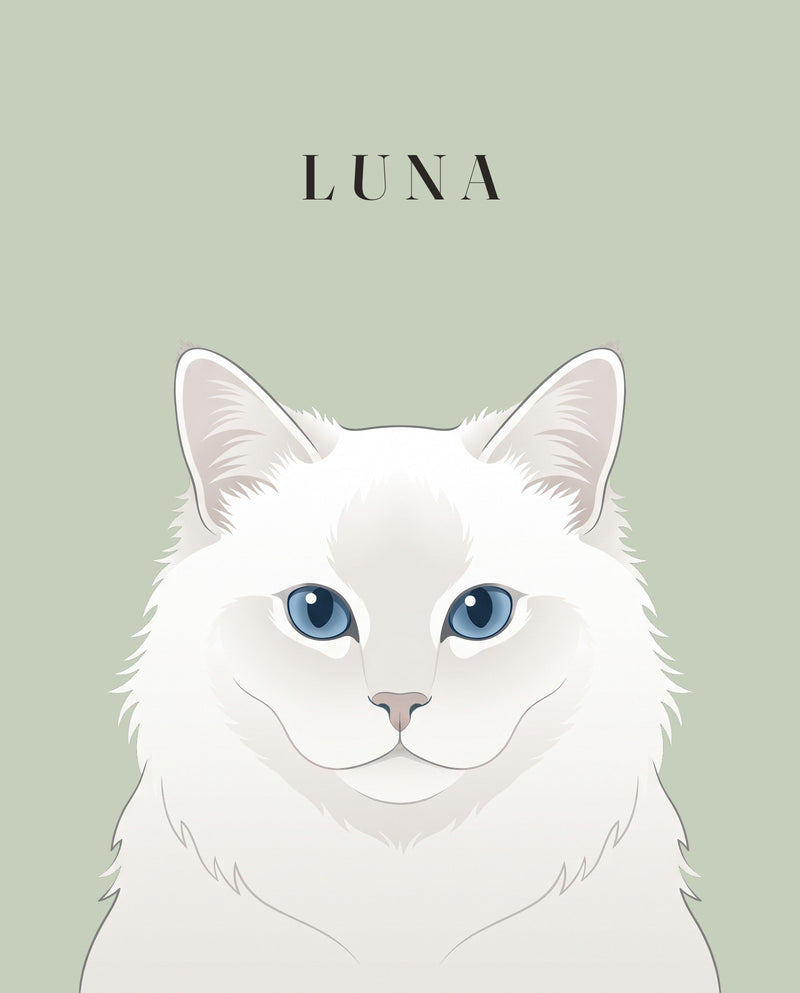 Modern Pet Portrait: a white fluffy cat with blue eyes on a sage background, the name Luna lettered above the head