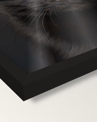 Realistic Cat Portrait framed print, corner close-up: black moulding, the print edge to edge behind plexiglass, no mat