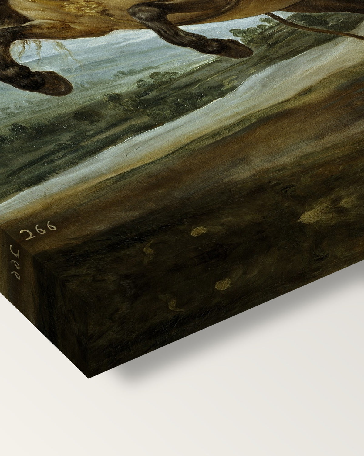 Prince Balthasar Charles by Diego Velázquez on stretched canvas, corner close-up: the painting mirror-wrapped round the sides