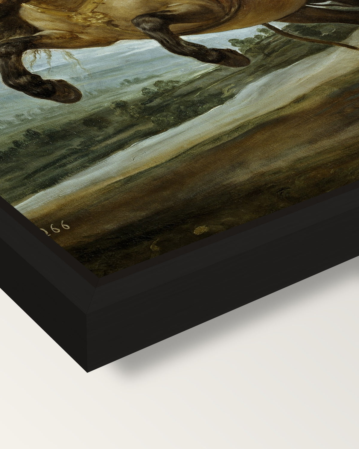 Prince Balthasar Charles framed canvas, corner close-up: a black floating frame with a shadow gap round the canvas