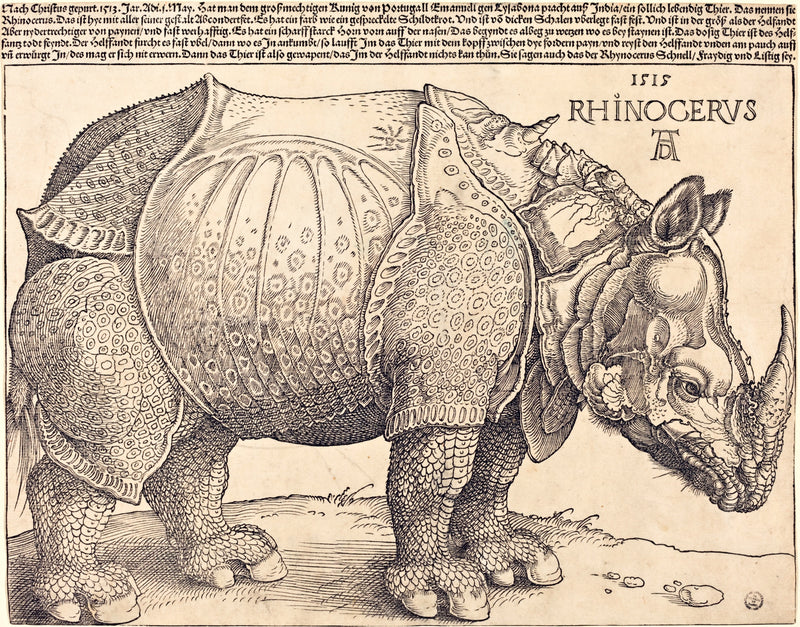 The Rhinoceros by Albrecht Dürer: a woodcut rhinoceros covered in armour-like plates and scales, text above