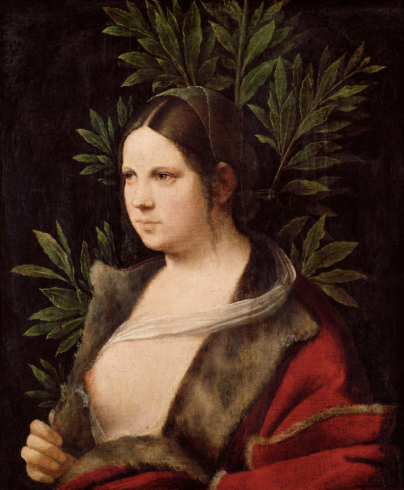 Laura by Giorgione: a young dark-haired woman in a fur-lined red cloak and white veil before laurel leaves