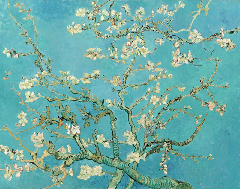 Almond Blossom by Vincent van Gogh: white almond blossom on twisting branches against a soft turquoise-blue sky
