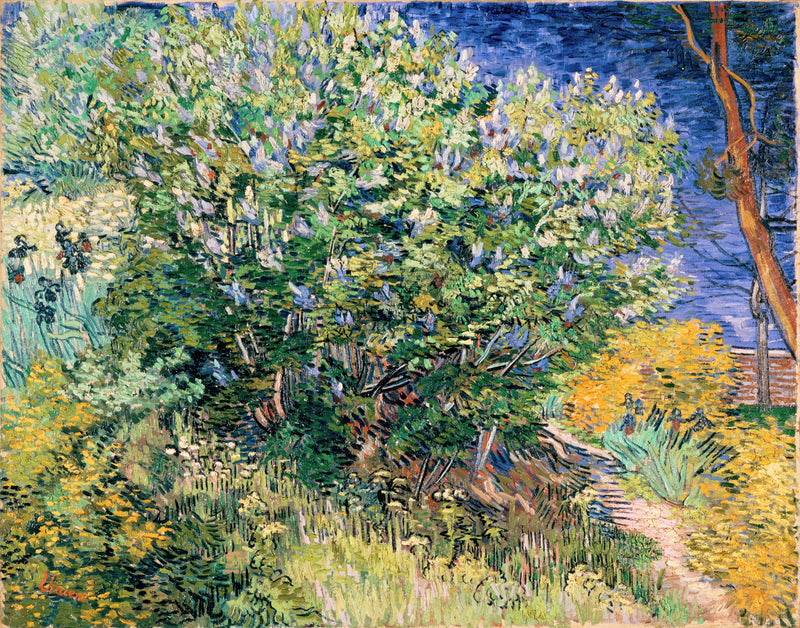 Lilac Bush by Vincent van Gogh: a big green bush flowering with lilac in a garden, a path and long grass in front