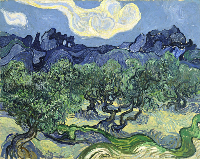 The Olive Trees by Vincent van Gogh: twisting olive trees before blue mountains under a big white cloud