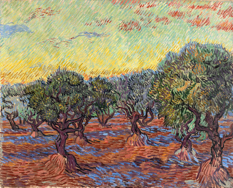 Olive Grove by Vincent van Gogh: green olive trees on orange earth with violet shadows under a pale dotted sky