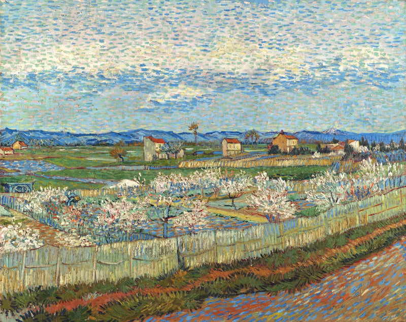 Peach Trees in Blossom by Vincent van Gogh: small white-flowering trees behind reed fences, blue hills and a dotted sky