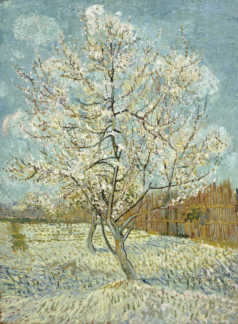 The Pink Peach Tree by Vincent van Gogh: a single peach tree in pale pink blossom, a fence behind, under a pale sky