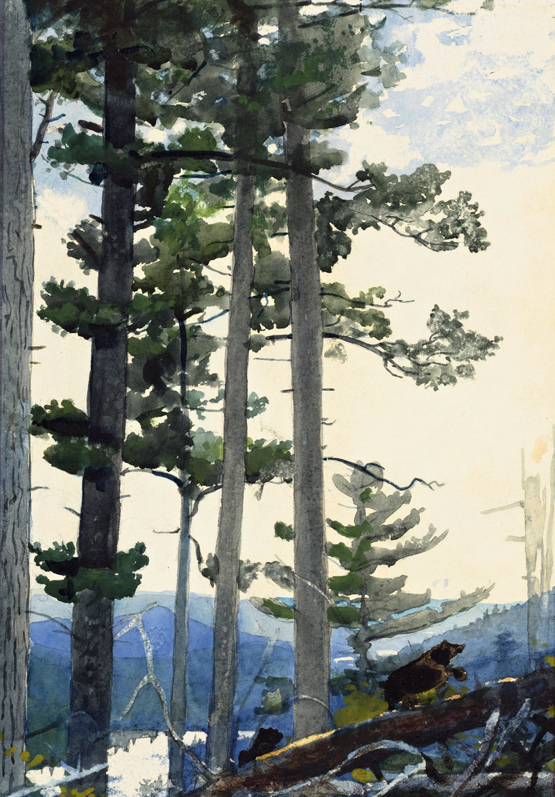 Old Settlers by Winslow Homer: tall old pine trees in front of blue hills, a small bear walking along a fallen log