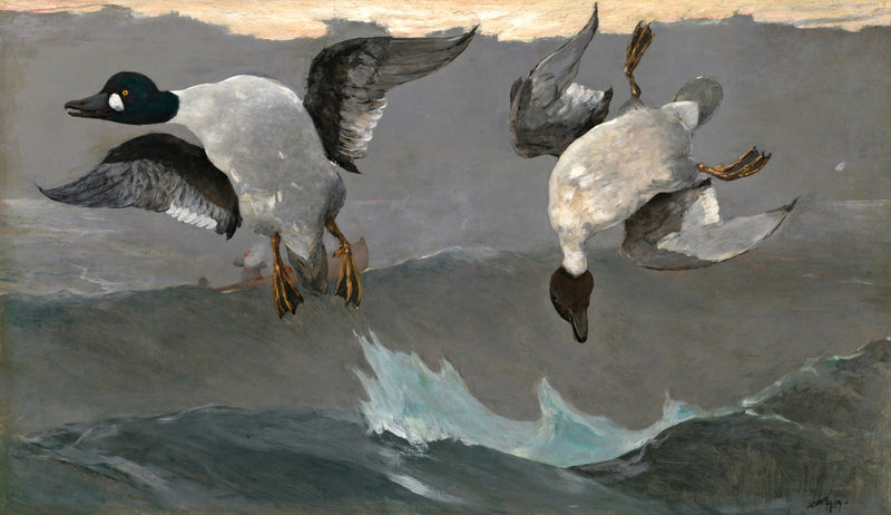 Right and Left by Winslow Homer: two goldeneye ducks in flight over grey waves, a red sliver of sun and a distant boat