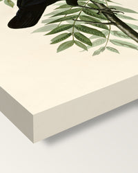 American Crow by John James Audubon on stretched canvas, corner close-up: the painting mirror-wrapped round the sides