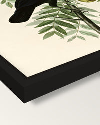 American Crow by John James Audubon framed canvas, corner close-up: a black floating frame with a shadow gap round the canvas