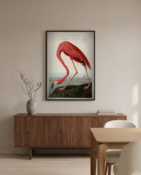 American Flamingo by John James Audubon in a black frame above a walnut sideboard in a dining room