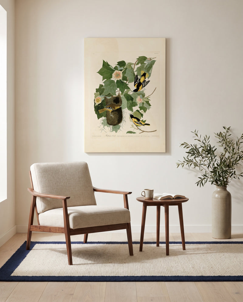 Baltimore Oriole by John James Audubon as a stretched canvas above a linen lounge chair in a reading corner
