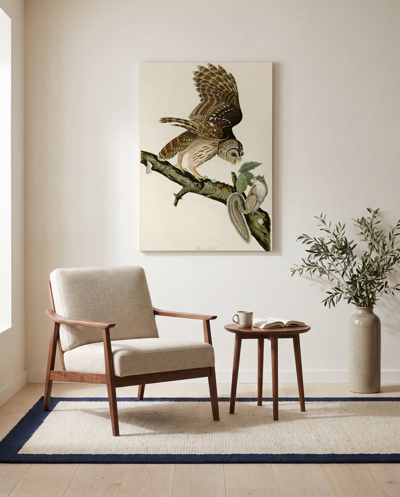 Barred Owl by John James Audubon as a stretched canvas above a linen lounge chair in a reading corner