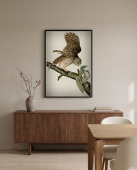 Barred Owl by John James Audubon in a black frame above a walnut sideboard in a dining room