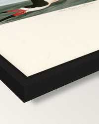 Black Skimmer by John James Audubon framed canvas, corner close-up: a black floating frame with a shadow gap round the canvas