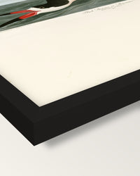 Black Skimmer by John James Audubon framed print, corner close-up: black moulding, mitred, the print set just below its edge