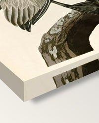 Brown Pelican by John James Audubon on stretched canvas, corner close-up: the painting mirror-wrapped round the sides