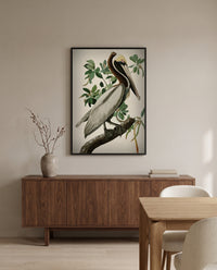 Brown Pelican by John James Audubon in a black frame above a walnut sideboard in a dining room