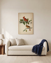 Cardinal Grosbeak by John James Audubon framed in natural oak above a cream sofa in a warm living room