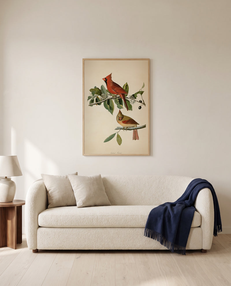 Cardinal Grosbeak by John James Audubon framed in natural oak above a cream sofa in a warm living room