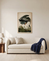 Great Blue Heron by John James Audubon framed in natural oak above a cream sofa in a warm living room
