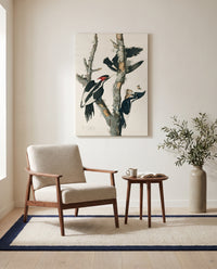 Ivory-billed Woodpecker by John James Audubon as a stretched canvas above a linen lounge chair in a reading corner