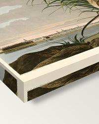 Long-billed Curlew by John James Audubon on stretched canvas, corner close-up: the painting mirror-wrapped round the sides